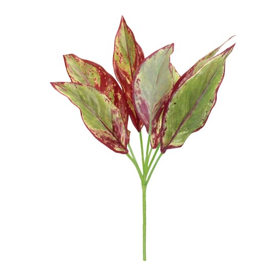 15.75" Variegated Foliage Plants, 6ct.